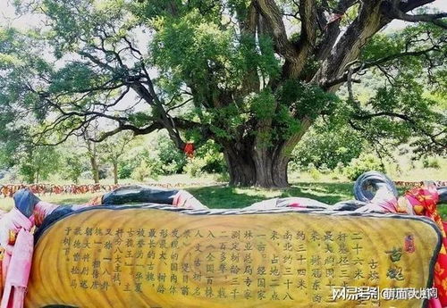 采光通风受阻与微气候的改变