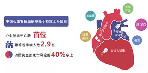 实施和合术的关键步骤与注意事项