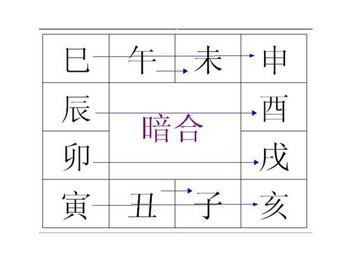 八字中辰申合的人命运会有哪些特殊变化？辰申合卯是什么意思？