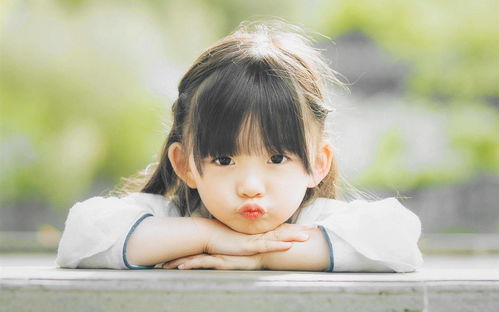 高分推荐深度解析