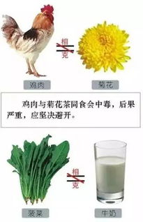 二、 健康价值：超越黄金之稀缺性分析