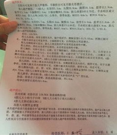 一、 ：以时间段为轴线展开的命运探究框架