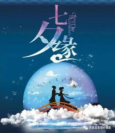 （二）嫁娶隐喻与社会周边环境等级观念反映