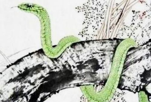 今日财运属蛇人运势中偏财部分具体指什么？