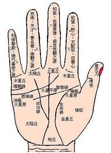 有没有最搞笑的手相图，女人看手相搞笑图片是什么样子的？