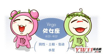 磁场匹配度评估（Virgo Female × Capricorn Male）
