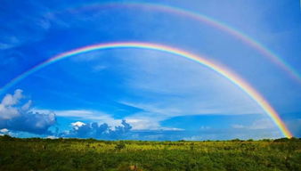 彩虹在风水里有什么特殊含义或作用？