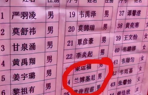 桢字三字昵称较大全：从古典到网络化，让你的名字更有魅力！