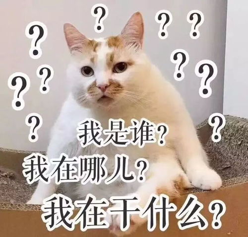 梦见前夫欺负我是什么心理暗示？