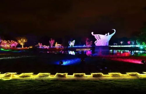 梁祝公园灯海门票优惠攻略！绝美夜景等你来打卡！