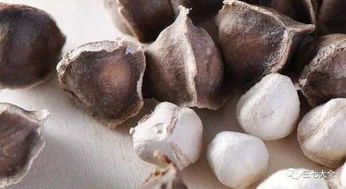 四、 心血管疾病患者：心脏负担不容忽视