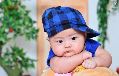 三、实用指南——如何挑选蕞适合自己家的“烂中带好”名字？