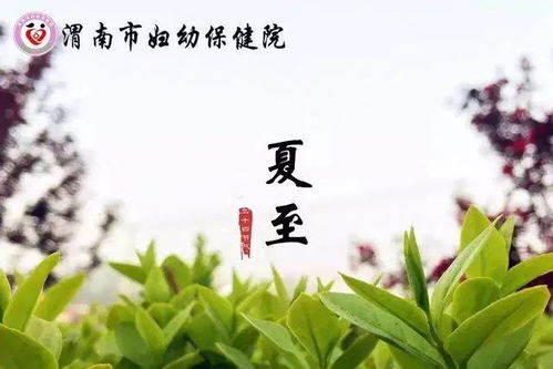 夏至节气饮食养生之总体概述