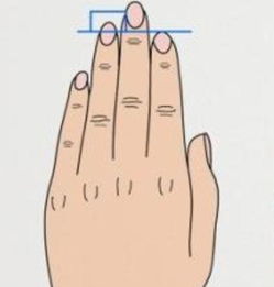 应答如流三下观指的是哪个生肖？