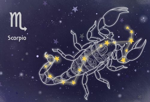 天蝎座2026年财运运势如何，2026年天蝎座的财运是不是会很旺？