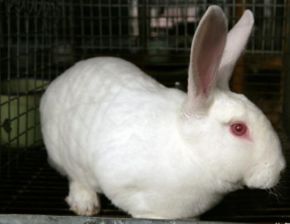 1963年出生的人今年多少岁了？