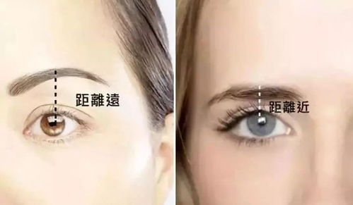 一、 高颧骨的定义及其面相特征