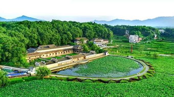 沾化冬枣生态园