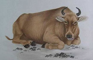 牛气冲天！属牛人苦尽甘来