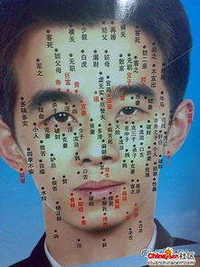 男人门牙缺一小块，这面相有何特点？