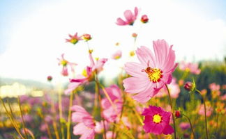 三、美食：农家乐里的“黑暗料理”