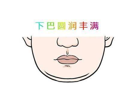 下巴（地阁）圆润饱满之象
