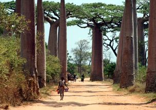 ：人居环境中的多重矛盾解析