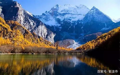 写在前面：这是一篇带“毒”的攻略