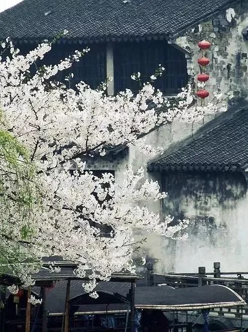 一、 江月于文化底蕴遗产中的应用及其象征功能