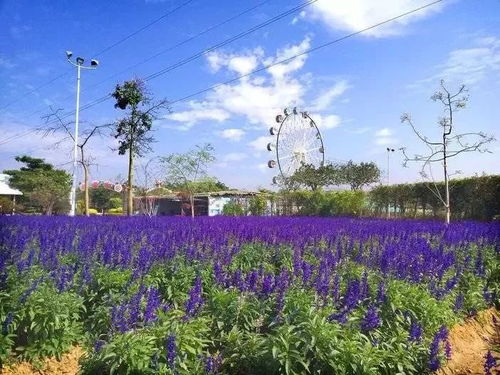 值不值？问就是血亏！