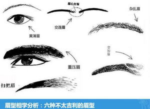 四、  情感维度的深度剖析：挫折、平等与忠诚的博弈