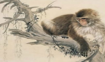 2026年属猴人的桃花贵人是谁？他们的感情运势如何？