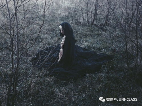 镜中世界的真实实面貌