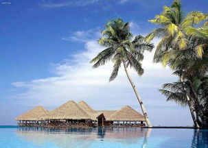 交通：堵到怀疑人生VS走到腿断