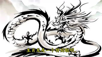 属龙金牛座2026年运势和属龙男2027年运势分别是什么？