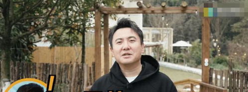 沈腾八字排盘是什么，能详细解释一下吗？