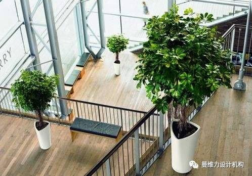 七、 花卉选择的性别差异考量