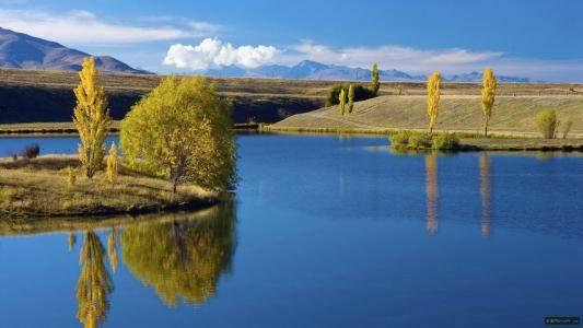 生肖冲煞：属牛者需谨慎