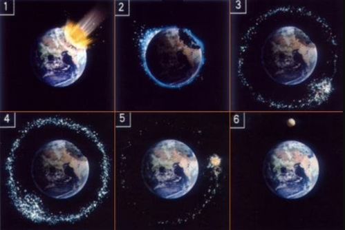 4．符号寓意：月亮、 星座与生肖关联