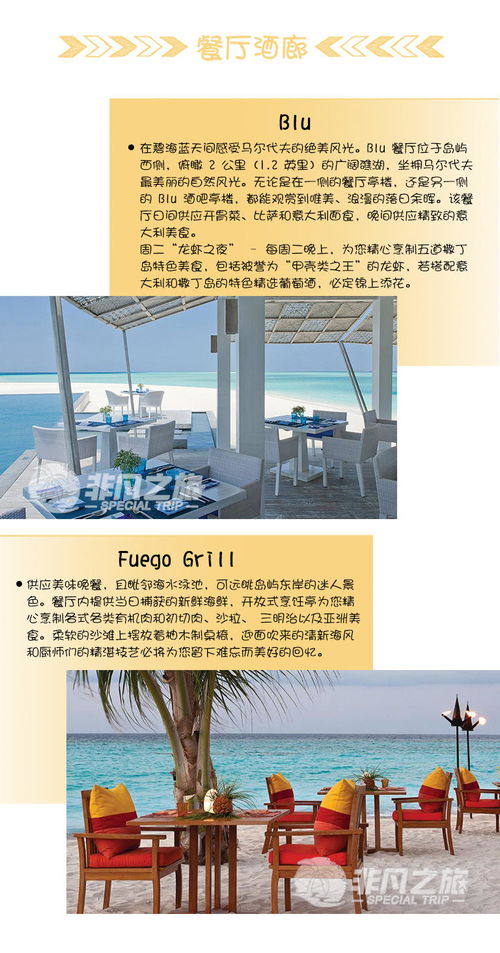 4. 五行失衡：水更多无土或水木漂逸