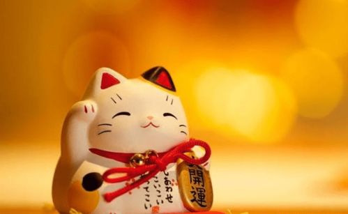 八字身弱财旺印旺，印旺为忌财旺的人如何调整命运？