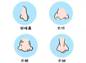 三、 風水布局對運勢提升之輔助作用（概念層面探討）