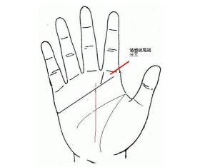 （三）中指长度及其权力欲望关联性