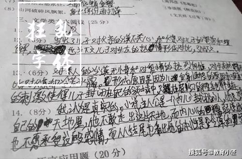 二、 线下实践与同好社群的互动参与