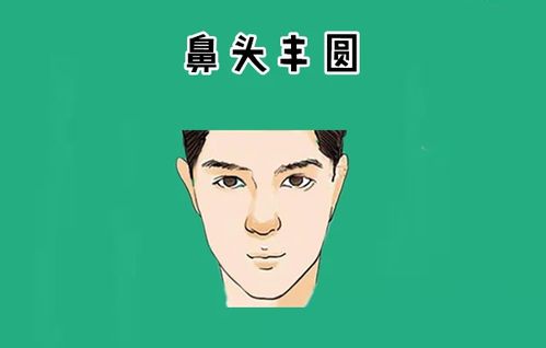 三、 鼻梁鼻尖特征及其社会行为投射