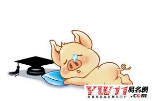 属猪的人2018年运势如何？运势预测分析