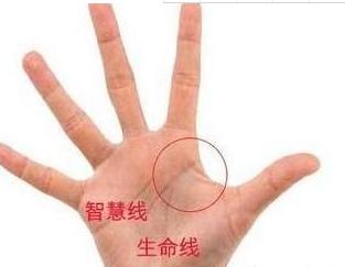 二、男人看手相：先天与后天的辩证统一