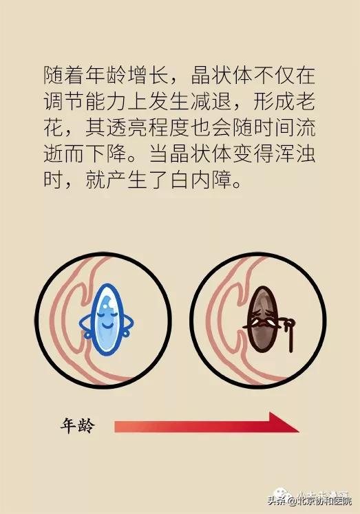 视 频 数 据 與 數 據 分 析