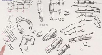 一、 方形手的内在特质：稳健、务实与坚韧