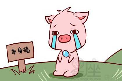 2026年属猪女性全年运势具体是怎样的？